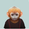 ͷ��
