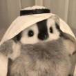 ͷ��