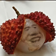 ͷ
