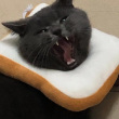 ͷ��