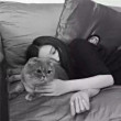 ͷ