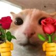 ͷ��