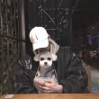 ͷ��