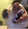 ͷ