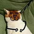 ͷ