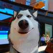ͷ��