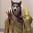 ͷ