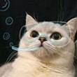 ͷ