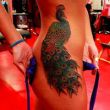 ͷ��