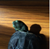 ͷ