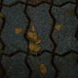 ͷ