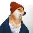 ͷ��