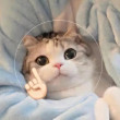 ͷ