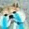 ͷ