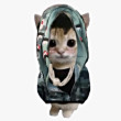 ͷ