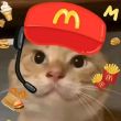 ͷ��
