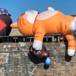 ͷ��