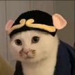ͷ��