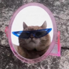 ͷ��