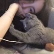 ͷ��