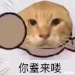 ͷ��