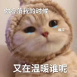ͷ��