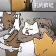 ͷ��