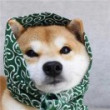 ͷ��