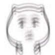 ͷ��