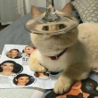 ͷ��