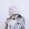 ͷ��
