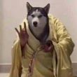 ͷ��