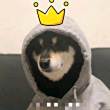 ͷ