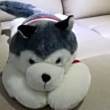 ͷ