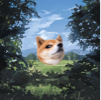 ͷ��