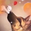 ͷ