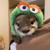 ͷ��