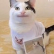 ͷ��