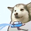 ͷ