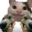 ͷ