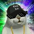 ͷ��