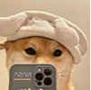 ͷ