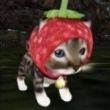 ͷ��