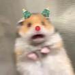 ͷ
