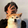 ͷ��