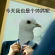 ͷ