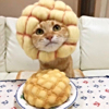 ͷ