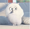 ͷ