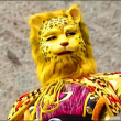 ͷ��