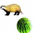 ͷ��